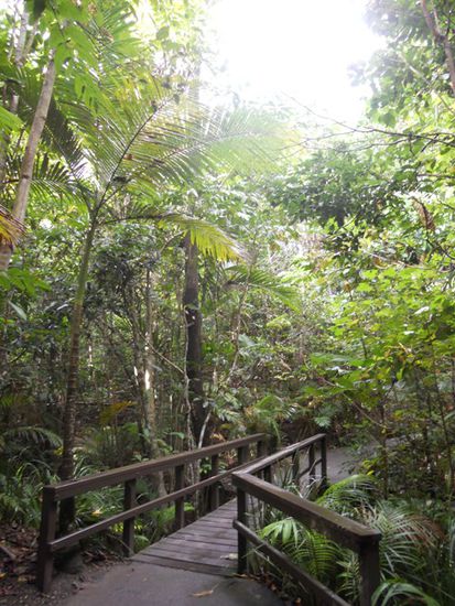 Im botanischen Garten von Cairns...