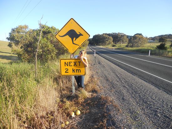 Endlich habe ich es mal geschafft ein Bild davon zu machen 