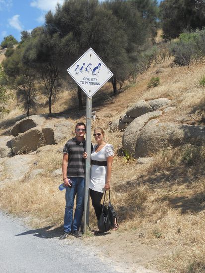 Ja hier muss man aufpassen, dass man den Pinginien die Vorfahrt laesst.... (wir haben uebrigens keine gesehen)