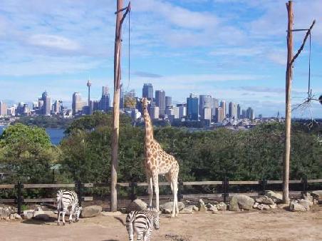 Taronga Zoo
