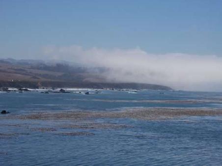 Die typische Landschaft am Highway 1
