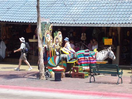 Die beste Touristenverarsche: Want picture with zebra?
