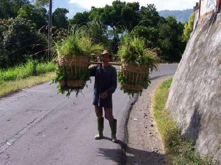 Ein Landarbeiter am Batur See