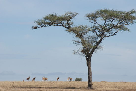 Unglaublich diese weite Landschaft!