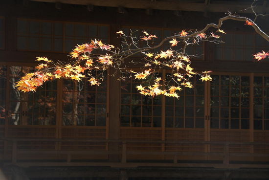 Im Zengarten "meines" Klosters..