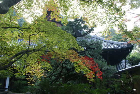 Eine Welt für sich sind die Tempel des Daitoku-ji in Kyoto.