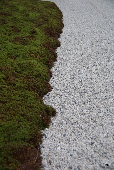 Kyoto: Etwas Meditatives haben die Gärten der Tempelanlagen Daitoku-ji.