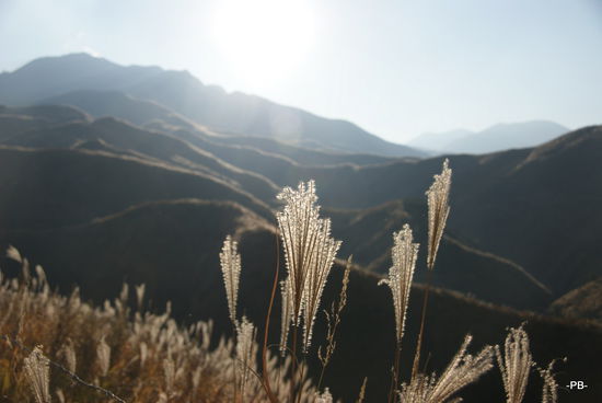 Unterhalb des Taka-dake (Mt. Aso)