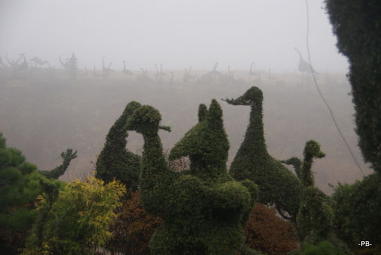 Irre: Gärtnerkunst in Ubuyama.