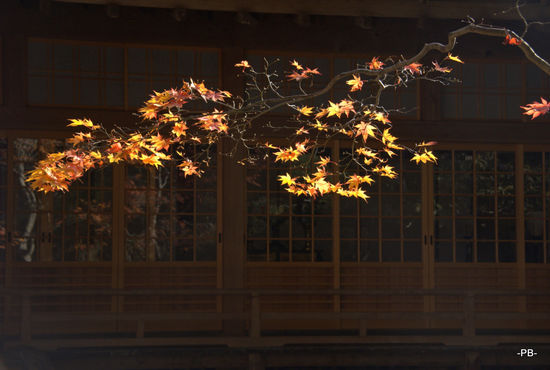 Koya-San: Im Kloster Shojoshin-in.