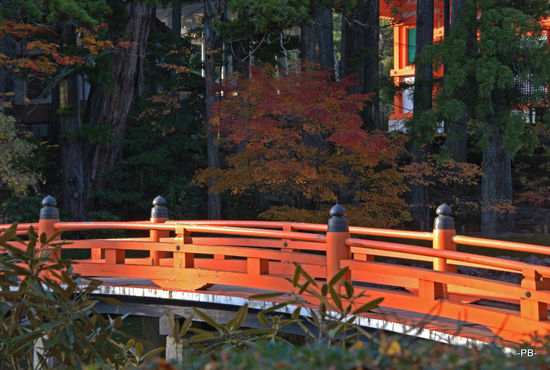 Koya-san Brücke im Garan (Heiliger Bezirk).
