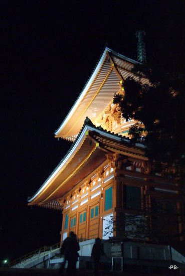 Koya-san: Die große Pagode.