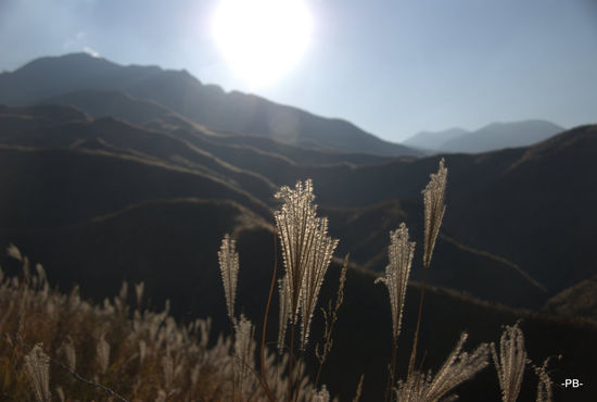 Mt. Asa: In der Sensui-Schlucht unterhalb des Naka-dake.