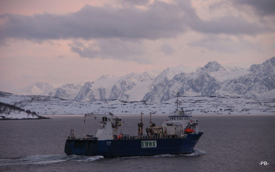 Unterwegs in Richtung Tromso.