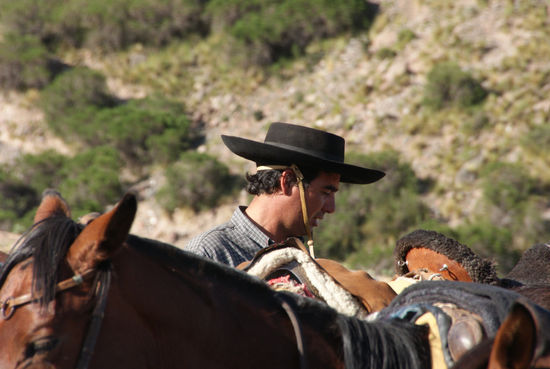 Unterwegs mit dem Pferd.