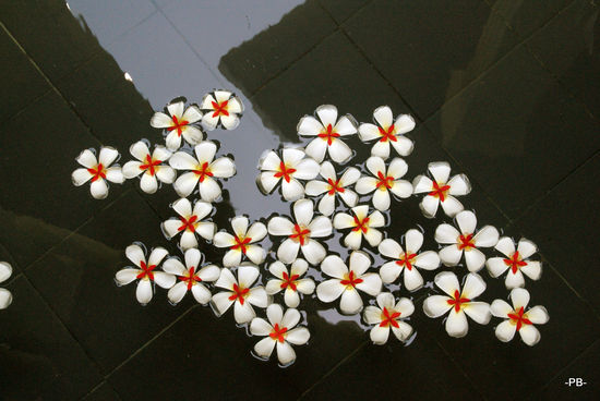 Kithala Resort [verweis=Kithala Resort]Dein Linktext hier...[/verweis]