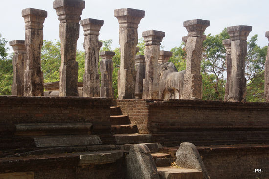 In den Ausgrabungsstätten von Polonnaruwa.