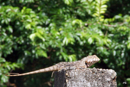 Begegnung am Wegesrand