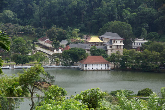 Der Zahn des Tempels