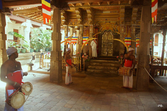 Wo geht es zum Zahn?