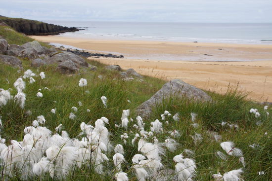 Hat das Meer Badetemperatur?