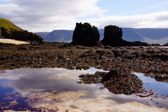 Bei Flut schaut es hier ganz anders aus.