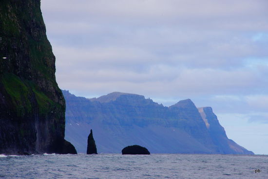 Auch hier nisten viele Vögel.