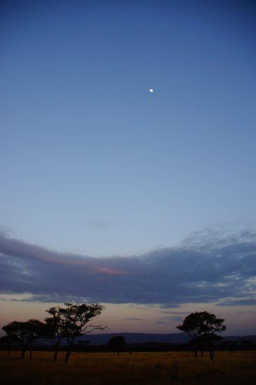 Großes Kino: Morgendämmerung in der Serengeti.