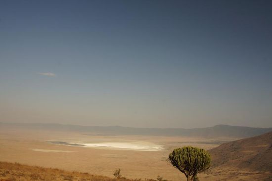 Blick in den Krater.