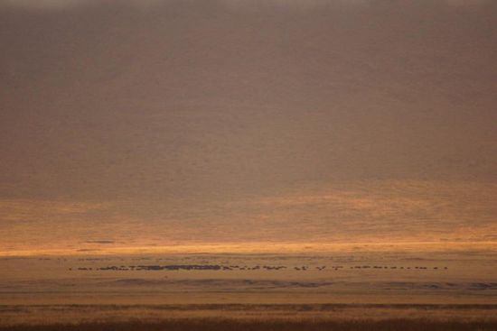 Die ersten Sonnenstrahlen finden ihren Weg zum Kraterboden.