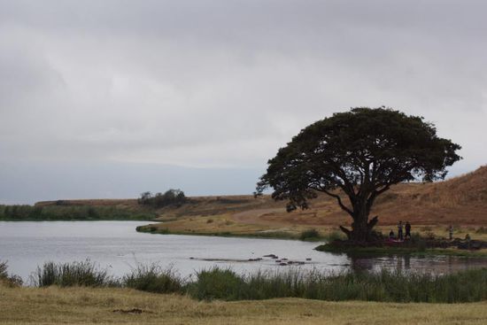 Ein schöner Platz für unser Frühstück.