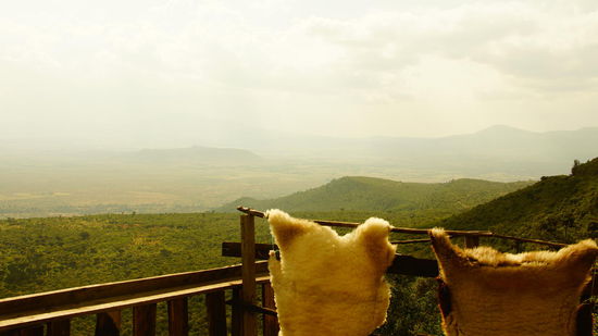 Ein erster Blick ins Rift Valley. Leider etwas riesig.
