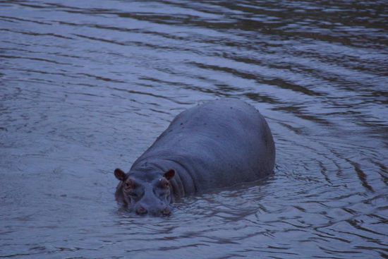 Gestatten, meine Nachbarin, Lady Mara.