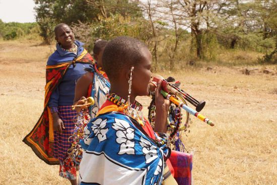 "Streit" um eine Giraffe.