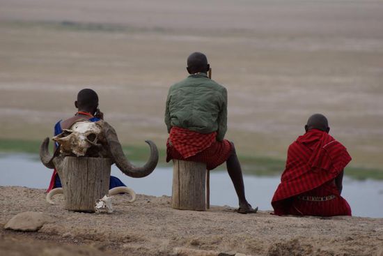 Auf der Suche nach dem Kilimanjaro.