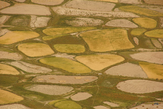 [verweis=Dzongkhul Gompa]Nein, keine Szene vom Mars. Sondern vielmehr Getreidefelder bei Stongday[/verweis]