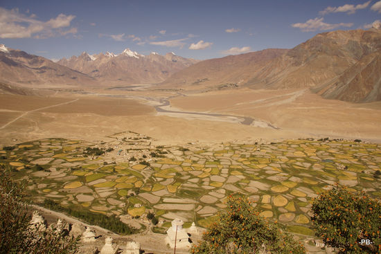 Blick von der Dzongul Gompa runter ins Tal.