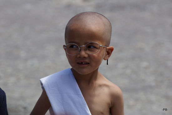 A warm welcome to Ghandi!