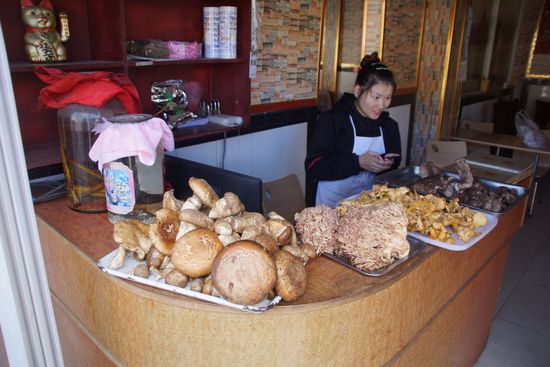 An jeder Ecke werden Pilze ohne Ende angeboten.