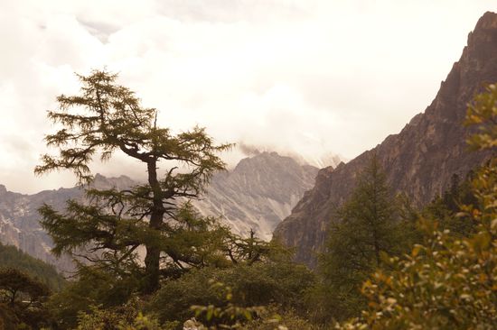 Naturschutzgebiet Yading