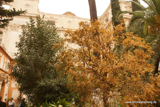 Personalausweis nicht vergessen! Weitere Fotos