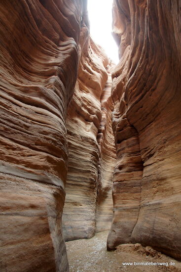 Wow! Was für eine Schlucht: Das Wadi Numeira