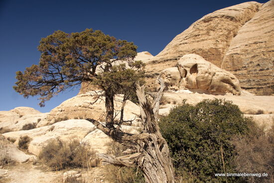 Wunderbares Wandergebiet durch eine Gegend mit überdimensionierten Bauklötzchen