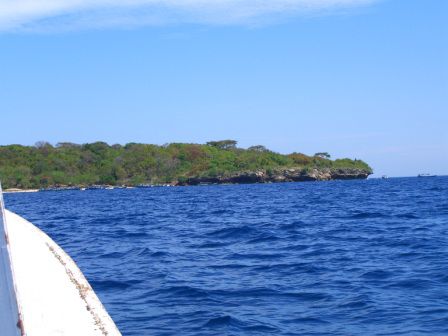Insel Menjangan