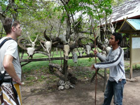 Der Ranger erklärt anhand von Schädelknochen weitere Bewohner der Insel - das alles sind gefunde Fresserchen der Komodo-Dragons