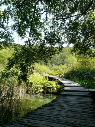 der Park wird auf Holzstegen durchwandert