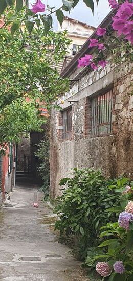 Pretty in pink, Carrara.