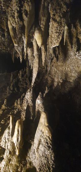 Es wächst zusammen, was zusammenwachsen will. Es dauert halt. 900.000 Jahre, um's genauer zu sagen.