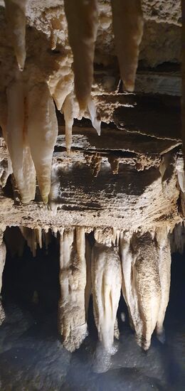 Es ist streng verboten, die Konkremente zu berühren, denn Hautfett würde verhindern, dass Kalk anhaftet und somit das Wachstum behindern.