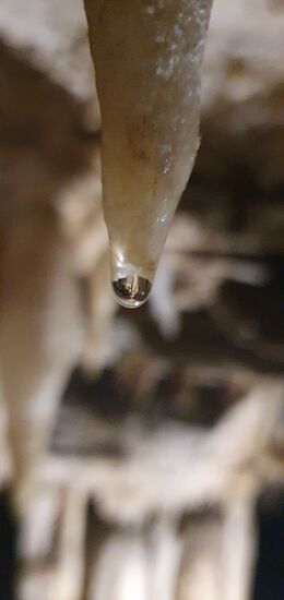 Solange Wasser fließt, sind die Konkremente aktiv und können weiter wachsen.